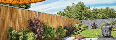 Pin Auf Bambussichtschutz