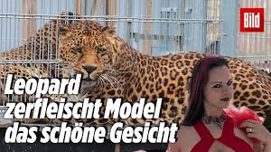 Musikvideo für die spectacle snakes von jessica leidolph. Be7ajutjhdbaom