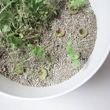 When arranging the herb garden, think about the needs of each individual plant, and set up your collection accordingly.herbs like rosemary, sage, oregano, and thyme thrive off of sunlight, so keep those up top where they can soak it in. How To Grow An Indoor Herb Garden Curiously Conscious