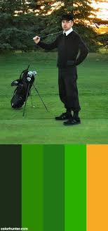 Sometimes I Golf Color Palette Color Palette Color Golf