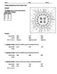 Protein Synthesizes Worksheet Key Yahoo Image Search Results Word Problem Worksheets Writing Worksheets Practices Worksheets