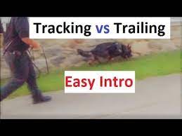 A dog who is still having occasional accidents is not fully potty trained yet! How To Train A Dog To Track Trail An Easy Intro K9 1 Com Youtube