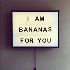Maybe you would like to learn more about one of these? 110 Light Box Quotes Ideas Light Box Quotes Light Box Boxing Quotes