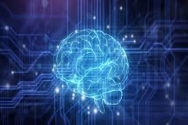 尊龙时凯·(中国区)人生就是搏!