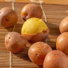 Image result for Anisophyllea boehmii