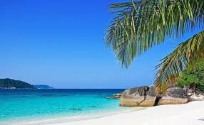 頭條新聞on twitter outdoor beach water