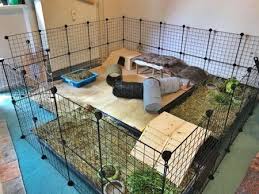 Pin Auf Casa Conejos