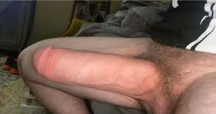 Bwc 13 inches : rBWCbigwhitecocks