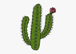 Or kinda of fleat market. Cactus Cactus Illustration Arizona Saudi Arabia Cacto Do Deserto Png Transparent Png Transparent Png Image Pngitem