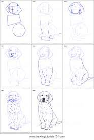 I get that this drawing may be. How To Draw Golden Retriever Puppy Printable Step By Step Drawing Sheet Drawingtutorials101 Com