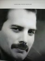 Freddie Love