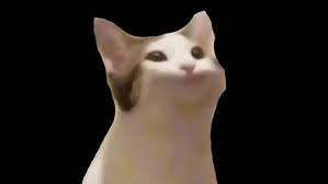The best gifs are on giphy. Pop Cat Vs Vibing Cat 9gag