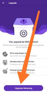 Sebenarnya kedua jenis akun tersebut bisa dijelaskan secara sederhana. Cara Upgrade Ovo Premier Online 2020 Panduan Lengkap Gambar Tumoutounews