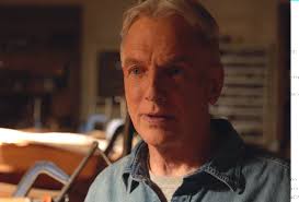 Do you want a better sense of what's ahead in it? Ncis Recap Season 16 Finale Ziva Spoiler Tvline