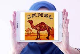 Shop for camel 99s filter cigarettes at kroger. 117 Camel Cigarettes Photos Free Royalty Free Stock Photos From Dreamstime