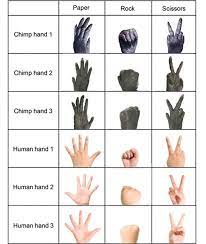 Learning The Rules Of The Rock Paper Scissors Game Chimpanzees Versus Children Primates Nozhnicy Zhivotnye Bumaga