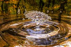 Hallo, mein vater hat auch sehr eisenhaltiges brunnenwasser und versorgt damit schon seit ewigkeiten alles grüne im garten. Wasserader Finden Wie Finde Ich Grundwasser Im Garten