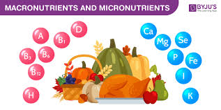 There are three principal classes of macronutrients: What Are Micronutrients Types Deficiencies Micronutrients In Plants