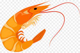 87 gambar kartun udang paling keren gambar pixabay. Download Gambar Udang Png Gambar Makanan
