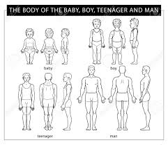 See more of ah boys to men on facebook. Changing The Male Body From A Baby To A Boy Teenager Man Vector Royalty Free Cliparts Vectors And Stock Illustration Image 132087516