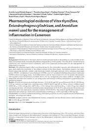 Image result for Vitex thyrsiflora