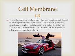 Check spelling or type a new query. Cell To Car Analogy Kory Gilbert Ppt Video Online Download