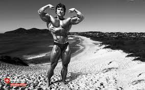 Old School Bodybuilding Wallpapers - Top Free Old School Bodybuilding  Backgrounds - WallpaperAccess