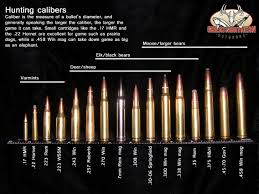 See and generate your own ballistic drop chart and table that then charts the ammo step by step and even allow for wind resistance, angles, and atmospheric conditions. Rifle Cartridge Size Vtwctr