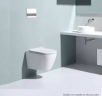 Two-Piece Ceramic Wall Hung Toilet Bowl Made in China
