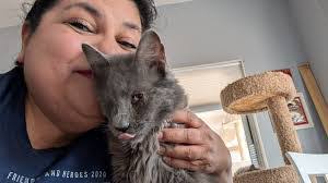 Kim Cahoon's Instagram, Twitter & Facebook