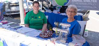 Volunteer with cats and kittens at best friends. Home Friends Of Strays Cat And Dog Adoption In St Petersburg Fl