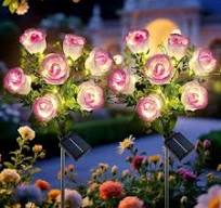 Solar Rose Led Lights