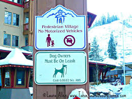 And our blog post on a dog's. Dog Friendly Places In Lake Tahoe The Village At Squaw Valley California Lake Tahoe Truckee Ca Real Estate For Sale