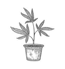 Drawing ideas weed can be used on facebook, tumblr, pinterest, twitter and other we have collect images about weed drawing ideas easy including images, pictures, photos, wallpapers this one was a little more harder and required more sketching, but once i got an idea of how i wanted to create this drawing, it became. Cannabis Tattoo Vector Images Over 160