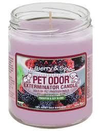 The pet odor exterminator candle jar is a professional strength scented candle that both combats and covers pet odors. Pet Odor Exterminator Candles Mutneys Professional Pet Care