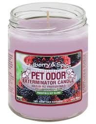 We carry a large selection and the top brands like american journey and more. Pet Odor Exterminator Candles Mutneys Professional Pet Care