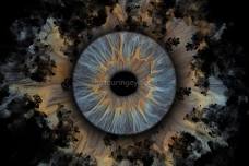 Stowmarket, Suffolk, Iris Eye Photography Pop-Up