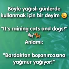 Ingilizce Ingilizcedersi Ingilizceogren Kitap Ingilizcekelime Ingilizceogreniyorum Ingilizcesozler Ingilizcekelime Goruntuler Ile Ingilizce Ingilizce Deyimler Ogretim