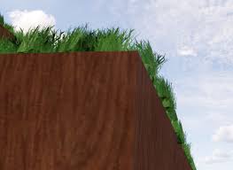 Enscape, grass and Sketchup