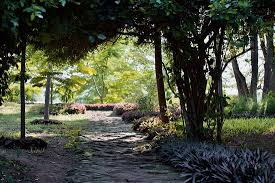 Gradually add flour mixture, mixing well after each addition. The Garden Path To The Guest Lodges And River Bild Von Baker Sons Safari Company Daressalam Tripadvisor