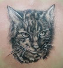 Here we offer authentic japanese tattoo designs of the name bobcat by master japanese calligrapher eri takase. Tattoo Designs Archives Webdesignerdrops