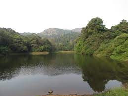 Kudagu