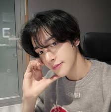 Our Aussie boy, Jake