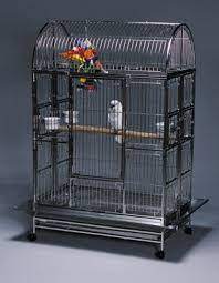 Maybe you would like to learn more about one of these? Bentuk Dan Model Membuat Kandang Lovebird Trikburung Com 2021 Trikburung Com 2021