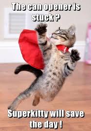 Super Kitten To The Rescue Funny Animal Pictures Funny Animals Cat Memes