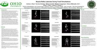 THE EFFECT OF CHRONIC LOW BACK PAIN ON LUMBAR STABILITY IN UNSTABLE SITTING  Lauren M. Wangler, Allison E. Kelly, Kevin P. Granata*, and James S.  Thomas.