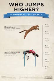 Animals Vs Olympians Who Jumps Higher High Jump Olympians Olympic Idea