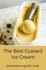 Birds Custard Powder Recipes Ice Cream How To Make Homemade Custard Ice Cream Best Recipe Ever Recipe Homemade Custard Custard Ice Cream Ice Cream Maker Recipes