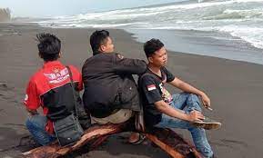 Pantai ini tak hanya menyuguhkan keindahan alami tentang air ombak, pasir, sinar matahari dan sejenisnya saja. 10 Foto Pantai Bugel Kulon Progo Harga Tiket Masuk Alamat Rute Lokasi Jejakpiknik Com