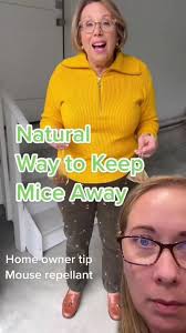 #duet with @brunchwithbabs #mice Homeownwr tip… keep mice away as it gets  cold and they look to move indoors. #homeownertip #winteriscoming